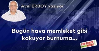 Bugün hava memleket gibi kokuyor burnuma…