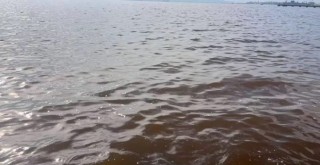 Körfez'de kötü koku sürüyor...