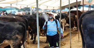 Bayraklı Belediyesi Kurban Bayramı’na hazır