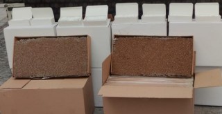 İzmir'de 4 milyon 100 bin makaron ele geçirildi