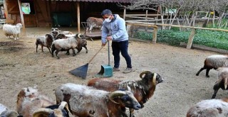 ​Organik atıklar gübreye dönüşüyor