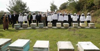Seferihisar'dan arıcılıkta büyük atak