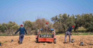 İzmir Tarımı Danışma Hattı kuraklıkla mücadele için çalışıyor