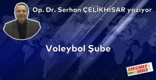 Voleybol Şube