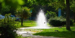 Bayraklı’nın yeşil oranı artıyor