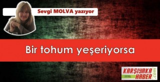 Bir tohum yeşeriyorsa