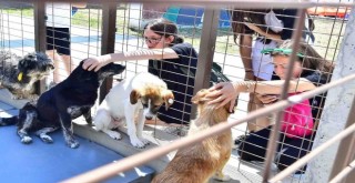 İzmirliler PAKOFEST’te patili dostlarla buluştu