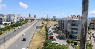 Çiğli’de sökülecek ağaçlar tramvay gelince dikilecek