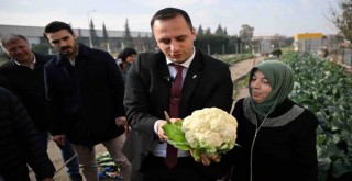 Bornova’da tarımsal üretime güçlü destek