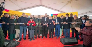 Seyrek Sahipsiz Hayvan Hastanesi açıldı