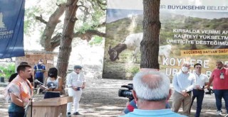 Küçük üreticiye can suyu...