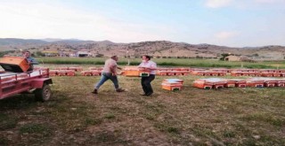 İzmir Büyükşehir 2020’nin ilk kovanlarını dağıttı