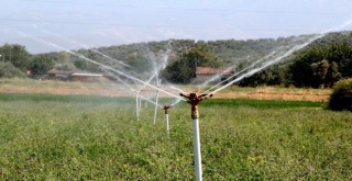Aktaş Barajı’ndan Ödemiş Ovası'na su verildi