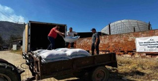 İzmir Büyükşehir'den yangın bölgesine yem desteği