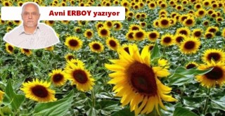 Ay çekirdeğinin siyasetle ilgisi nedir?