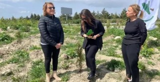 Gökhan Şensan adına 2 bin 500 fidan yeşerecek