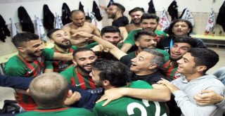 Tolungüç: Şu an kapasitemizin yüzde 65-70'ini sahaya yansıtıyoruz