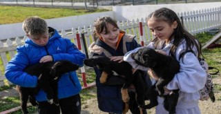 İzmir Büyükşehir'den ''Satın alma, sahiplen'' çağrısı