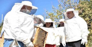 Bornova’da bal sağımı başladı