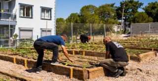Mahalle Bostanı yayılıyor...