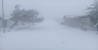 Yamanlar bembeyaz...