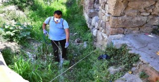 İzmir’de sivrisineklere karşı etkin mücadele