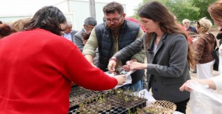 Çeşme Belediyesi’nden üreticiye 65 bin fide desteği