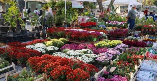 Karşıyaka Sonbahar Çiçek Pazarı açıldı