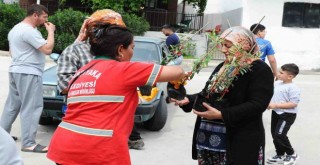 Sancaklı’da fidan dayanışması