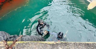 Karşıyaka İskelesi'nin altına sıkışan kediyi İzmir İtfaiyesi kurtardı
