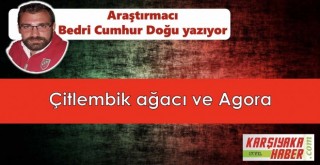 Çitlembik ağacı ve Agora
