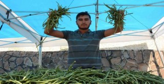 Karakızlar’da Börülce Festivali yapılacak