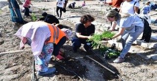 Mahalle Bostanı’nda kış sebzelerinin ekimi başladı