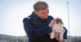 Tugay: Yarım saatinizi ayırın, bir cana umut olun