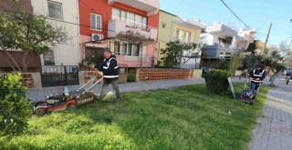 Efes Selçuk'ta yeşil atıklar doğal gübreye dönüşüyor