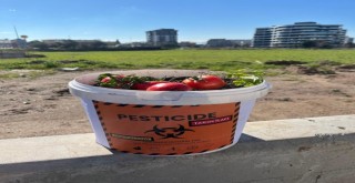 Karşıyaka Sınav Anadolu Lisesi öğrencilerinden farkındalık çalışması