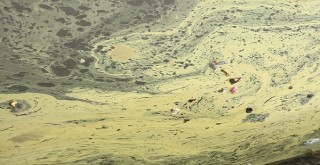 Bostanlı Deresi'nin rengi değişti, kokuyor!..