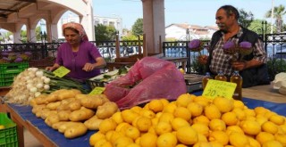 Tarla’dan Sofra’ya Üretici Pazarı açıldı