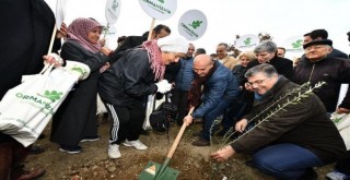 İzmirliler fidan dikim şenliğinde buluştu