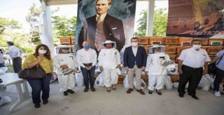 İzmir Büyükşehir'den üreticilere hibe kovan