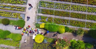 Karşıyaka Orman Fidanlığı doğaseverlerin akınına uğradı