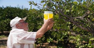 İzmir Büyükşehir’den çiftçiye 270 milyon liralık destek