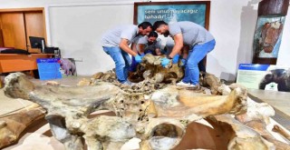 Pak Bahadır efsanesi müzede yaşatılacak