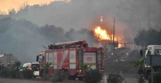 İzmir’in orman yangını risk haritası oluşturuldu