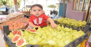 Torbalı İncir festivaliyle şenlendi