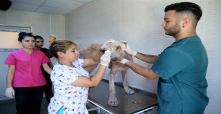 Karşıyaka’da bir ''Direniş'' öyküsü