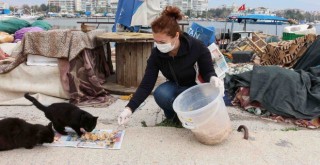 Karşıyaka'da can dostlara beslenme desteği