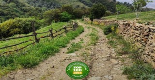 Efeler Yolu, En İyi 100 Hikâye listesinde