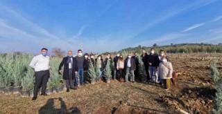 İzmir’de her çocuk adına bir fidan