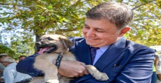 İzmir'de 1760 can dost sahiplendirildi